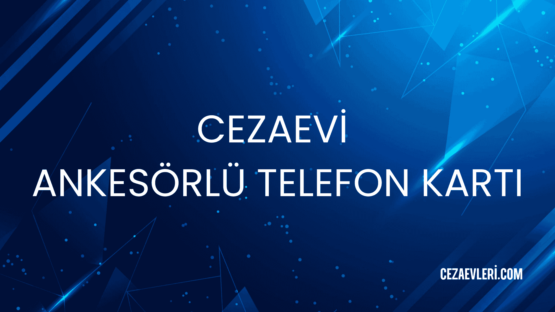 CEZAEVİ ANKESÖRLÜ TELEFON KARTI