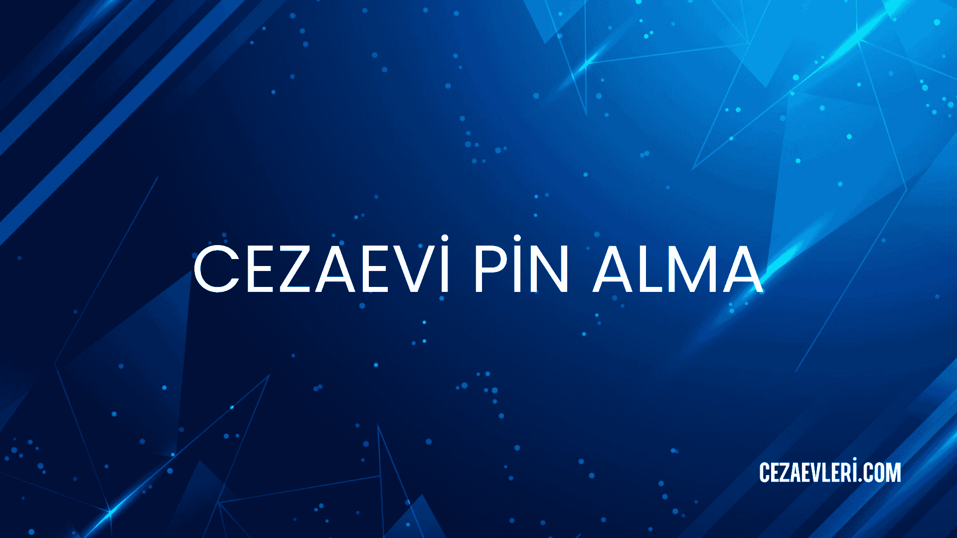 CEZAEVİ PİN ALMA