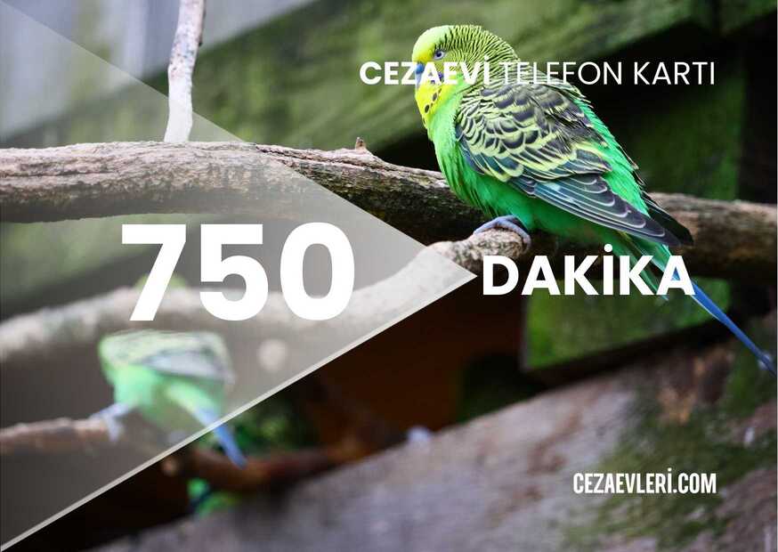CEZAEVİ 750 KONTÖR YÜKLEME